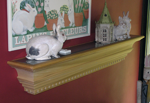 lighted display shelf